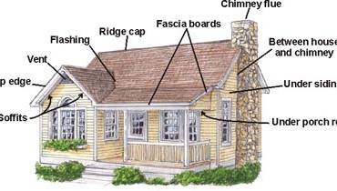 FAQs of Bat Infestations