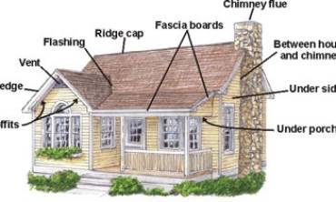 FAQs of Bat Infestations