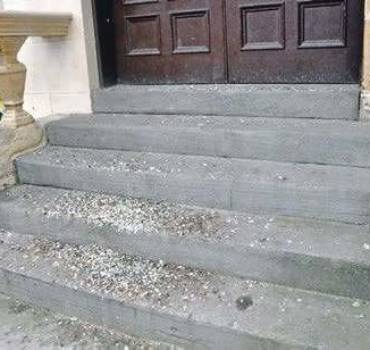 Harmful Effects of Pigeon Droppings