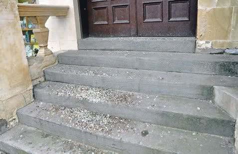 Harmful Effects of Pigeon Droppings